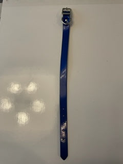 Dog Collar 21 " Blue DAY-GLO